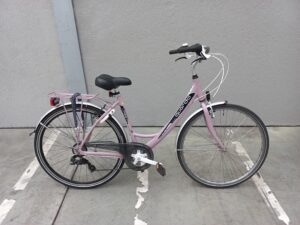Volwassen Damesfiets Quardo roze FIB200067