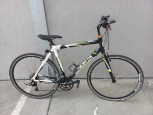 Volwassen Herenfiets Norta FIB200070