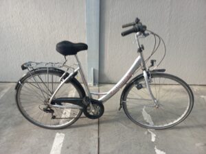Volwassen Damesfiets Quardo FIB200071