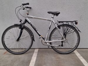 Volwassen Herenfiets Danskin Classic FIB200149