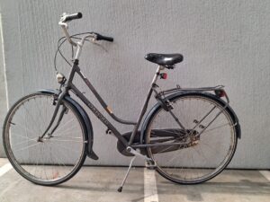Volwassen Damesfiets Oxford Master FIB200146